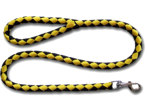a smart leash